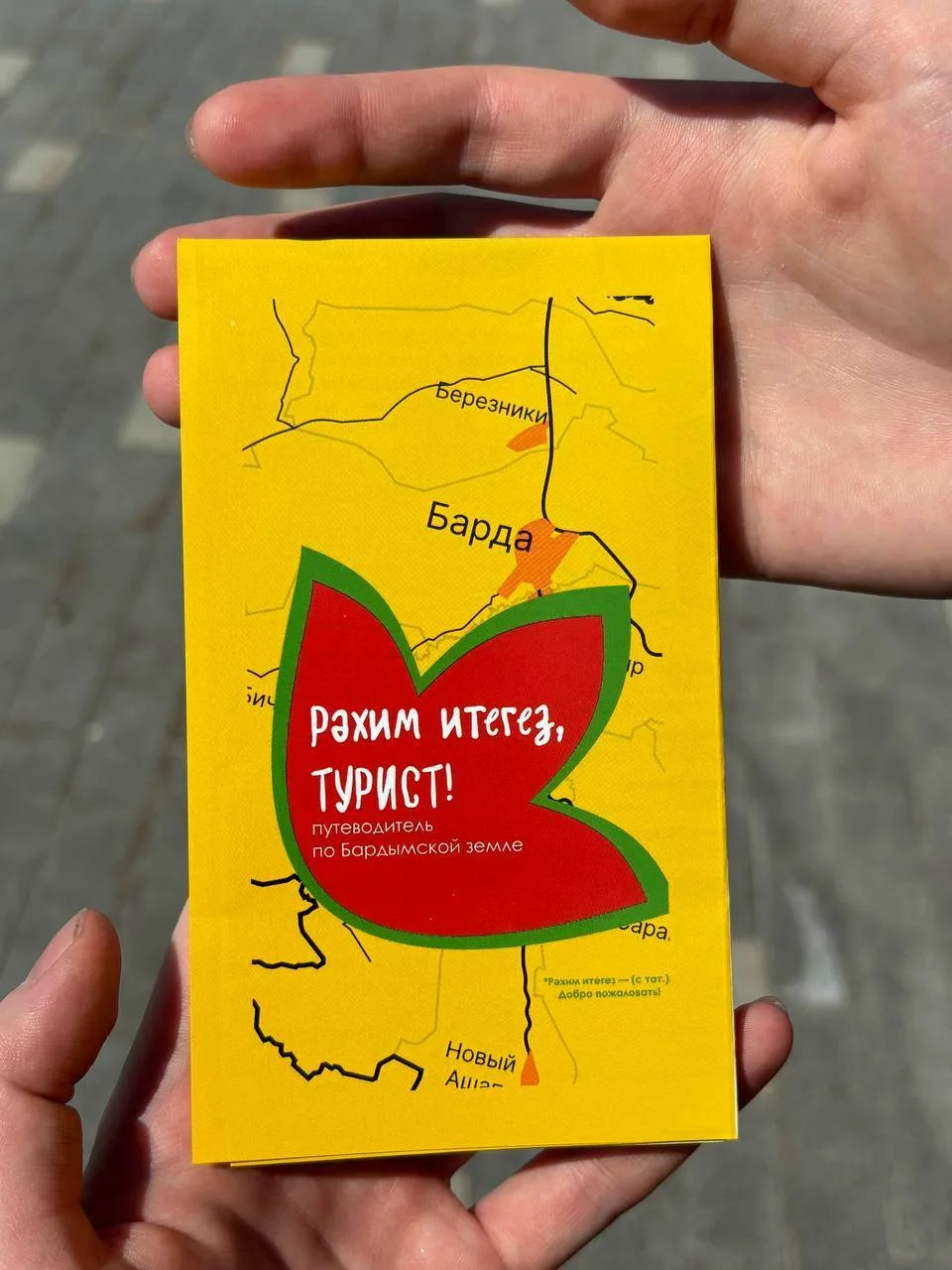 🪿 Гуси уплыли, а путеводитель по Барде уже здесь