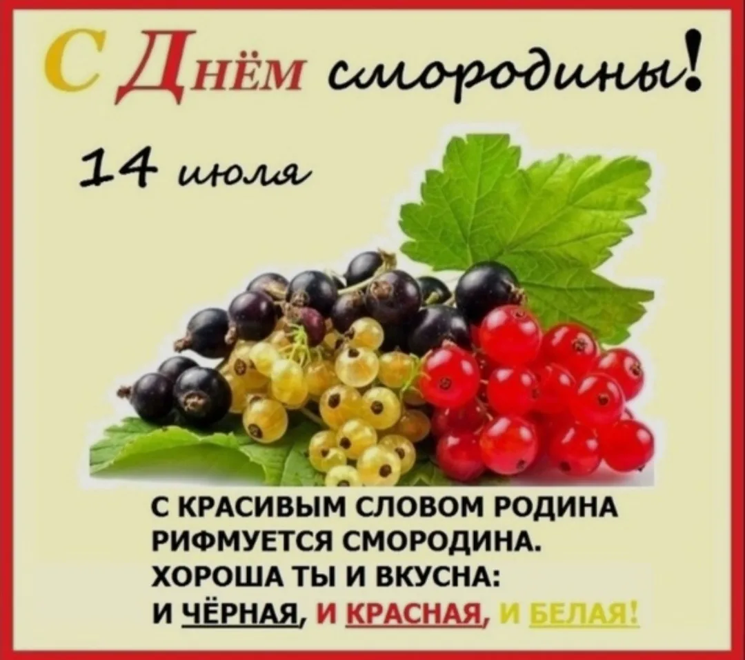 ☀14 июля в нашей стране отмечается День смородины 🌿