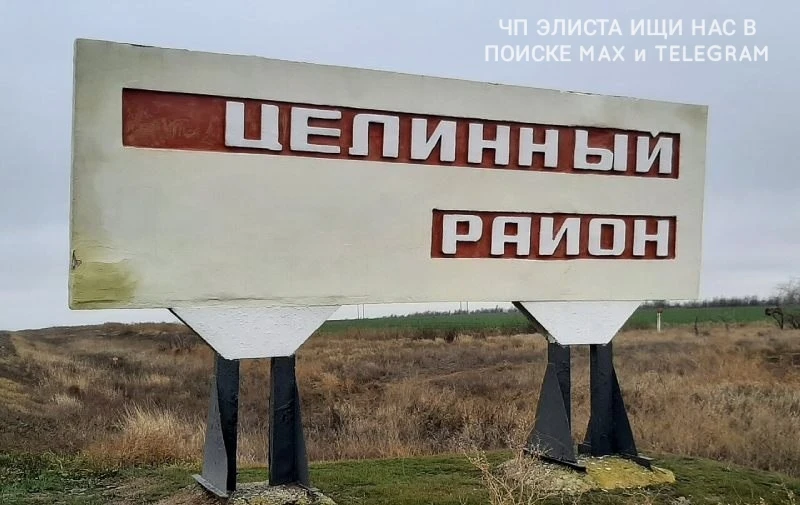 ❗❗В Ики-Чонос Целинного района установлен карантин по бешенству животных.