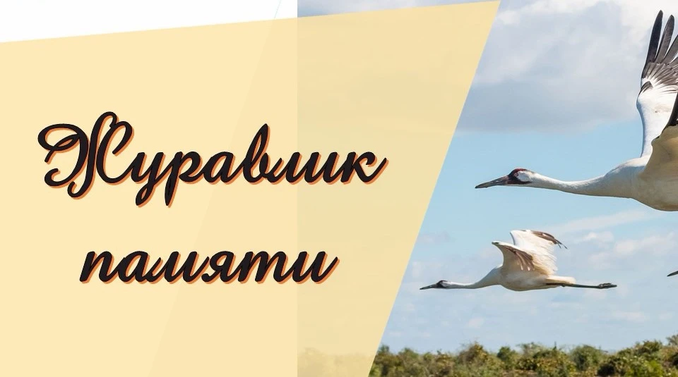 3 сентября — День солидарности в борьбе с терроризмом. Это одна из самых печальных памя...