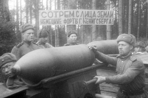 📄 Вышел тренировочный тест для подготовки к «Диктанту Победы», посвященный штурму Кёни...