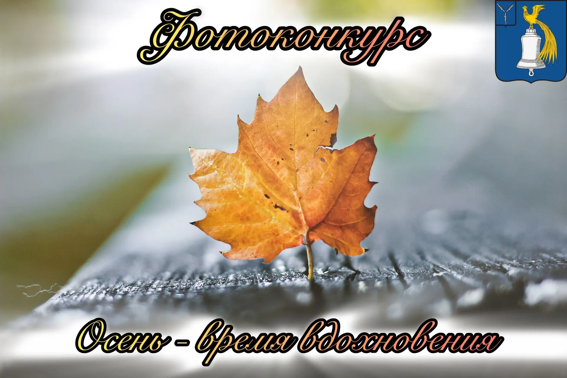 📸 Фотоконкурс «Осень — время вдохновения»