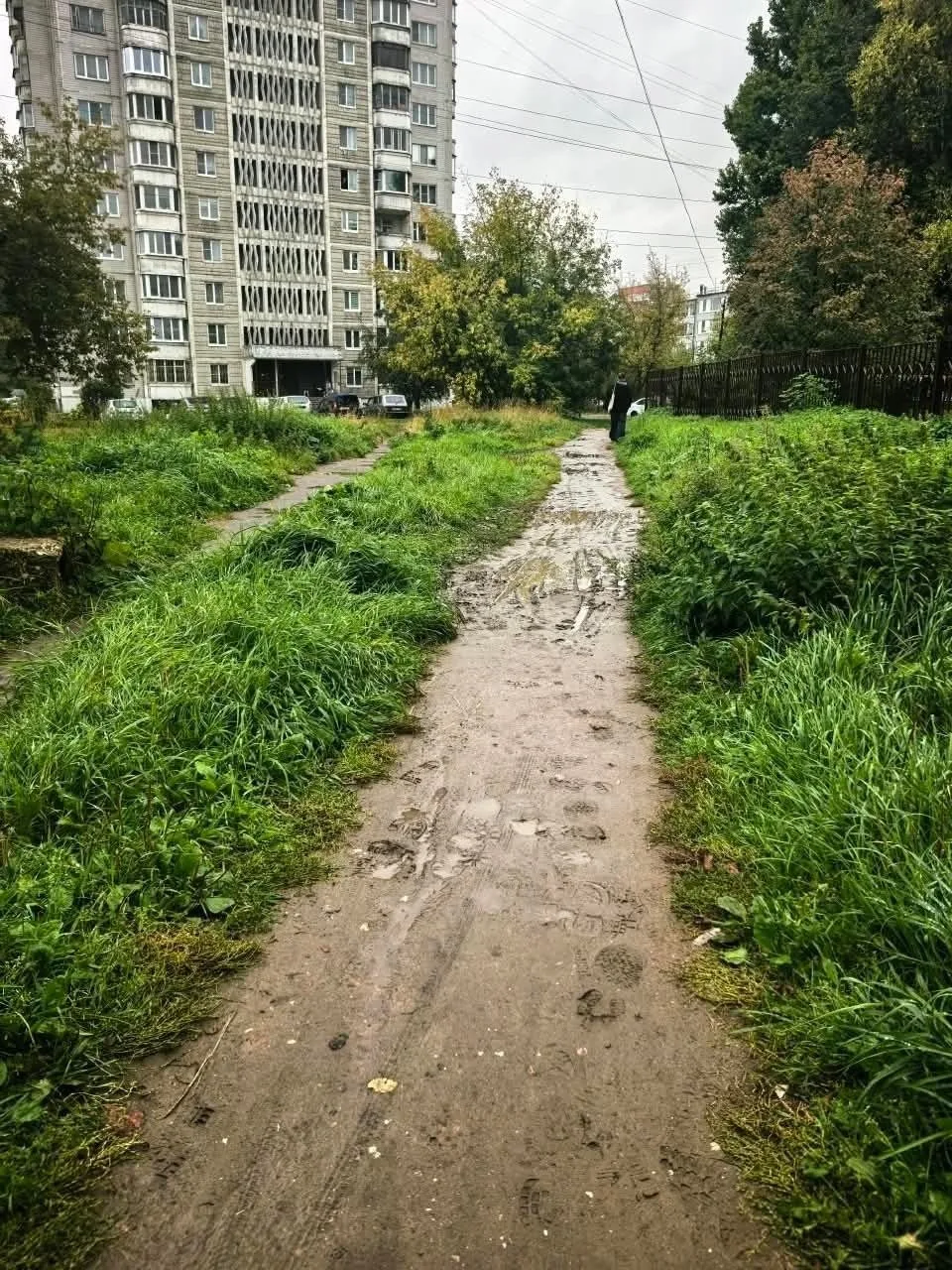 Родители воспитанников детского сада №62 на улице Капошвара вынуждены пробираться к зда...