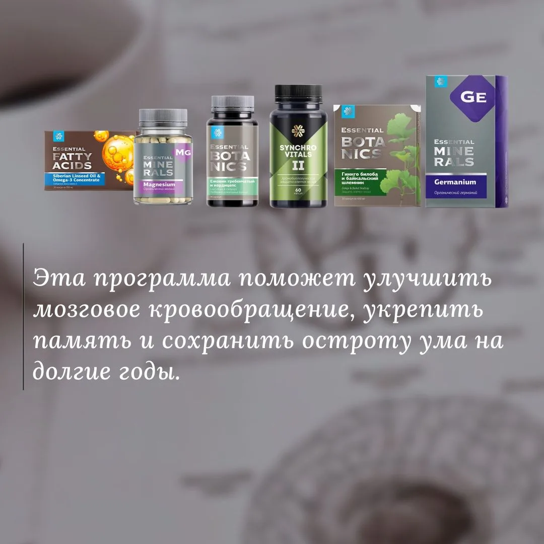 Инвестируйте в свой мозг — это лучшая инвестиция!