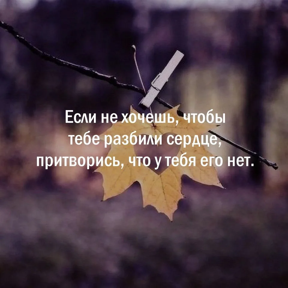 Мудрость слов | цитаты Мудрость слов | цитаты