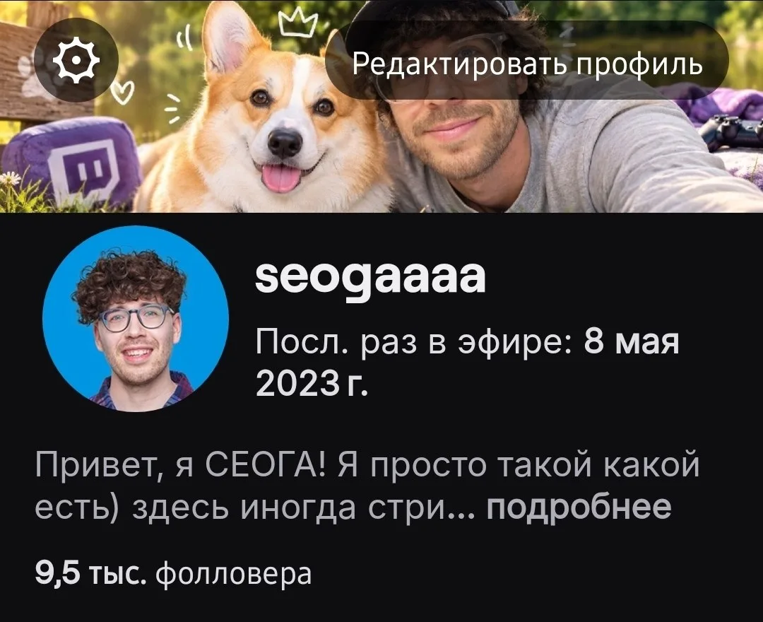 Twitch канал этот ☝️