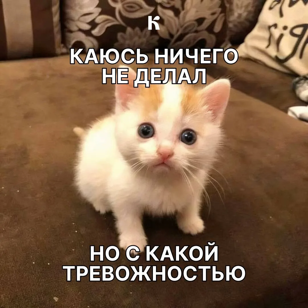 Прокрастинация ≠ лень

Психологи объясняют, что чаще всего за ней стоит перфекционизм, который задир