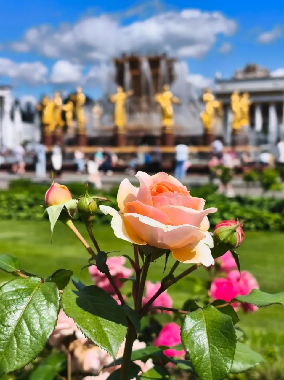 🌺Летняя атмосфера на ВДНХ