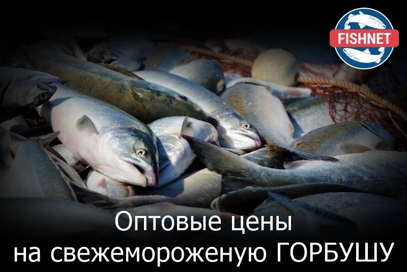 🐟 Опубликованы Оптовые цены на свежемороженую ГОРБУШУ на торговой площадке FISHNET.RU ...