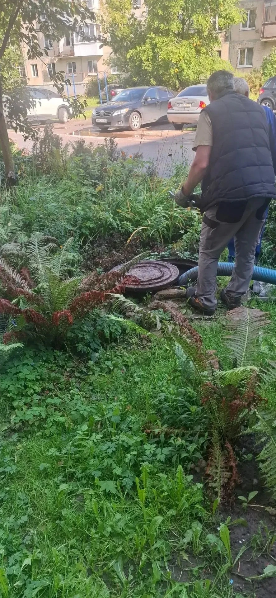 🌧 В Чудово пришел циклон с обильными дождями. Уровень осадков превысил месячную норму....
