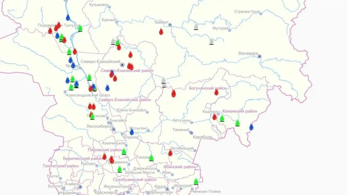 В лесах Красноярского края с сегодняшнего дня введен режим чрезвычайной ситуации.