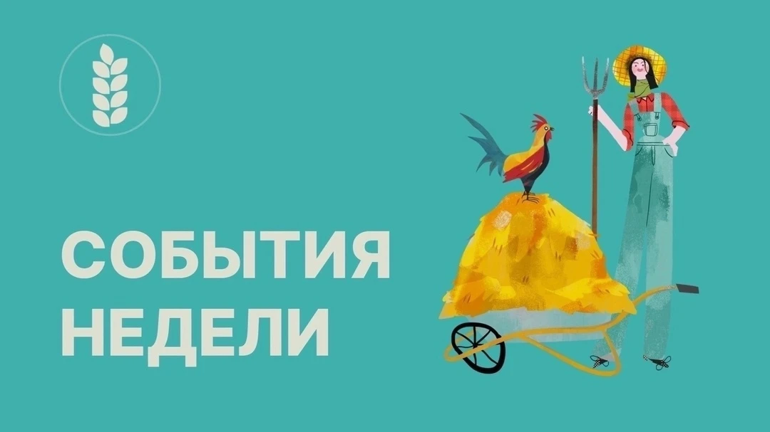 с 24 по 30 августа