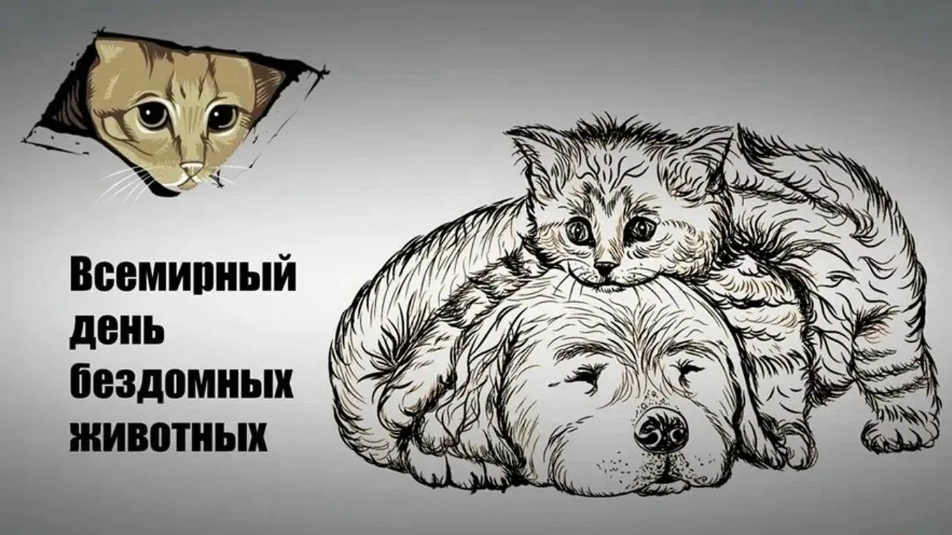 ВСЕМИРНЫЙ ДЕНЬ БЕЗДОМНЫХ ЖИВОТНЫХ