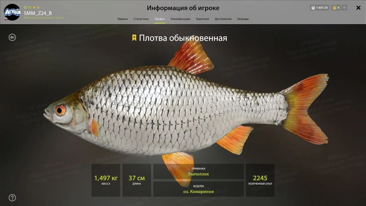#трофей_rf4map #фарм_rf4map
Водоем: #комариное_rf4map
- Рыба: Плотва обыкновенная
- Координаты: 55:7