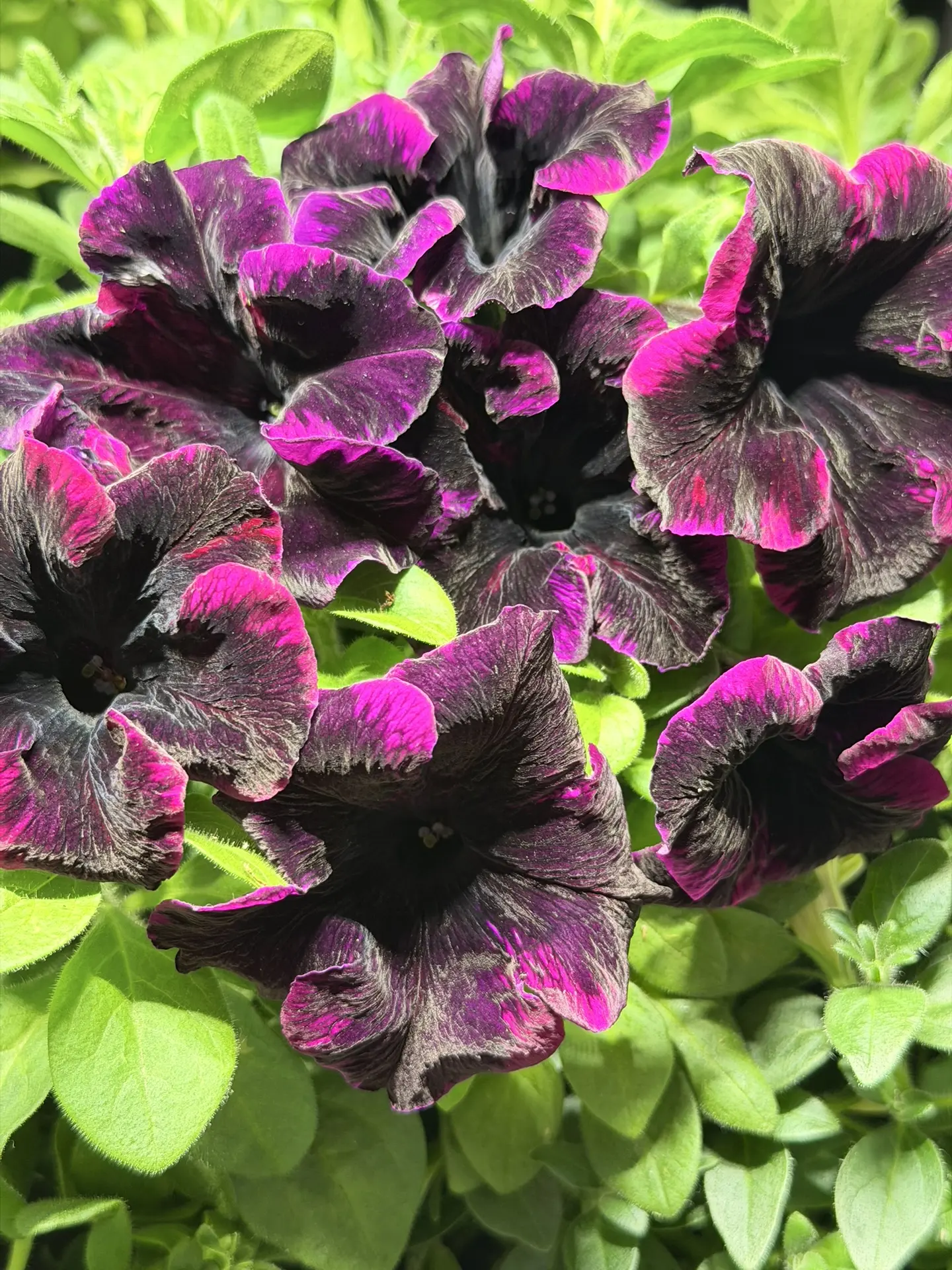 С первым днем весны, дорогие друзья🌸🌸🌸  Дождались, ура👏👏👏  Что-то я никак не соберусь выйти к вам, в