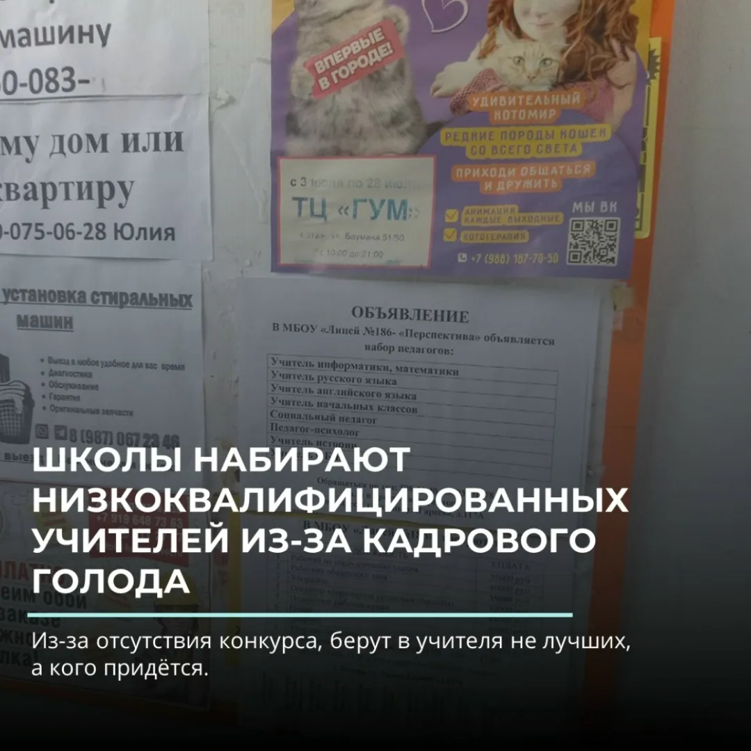 Школы набирают низкоквалифицированных учителей из-за кадрового голода