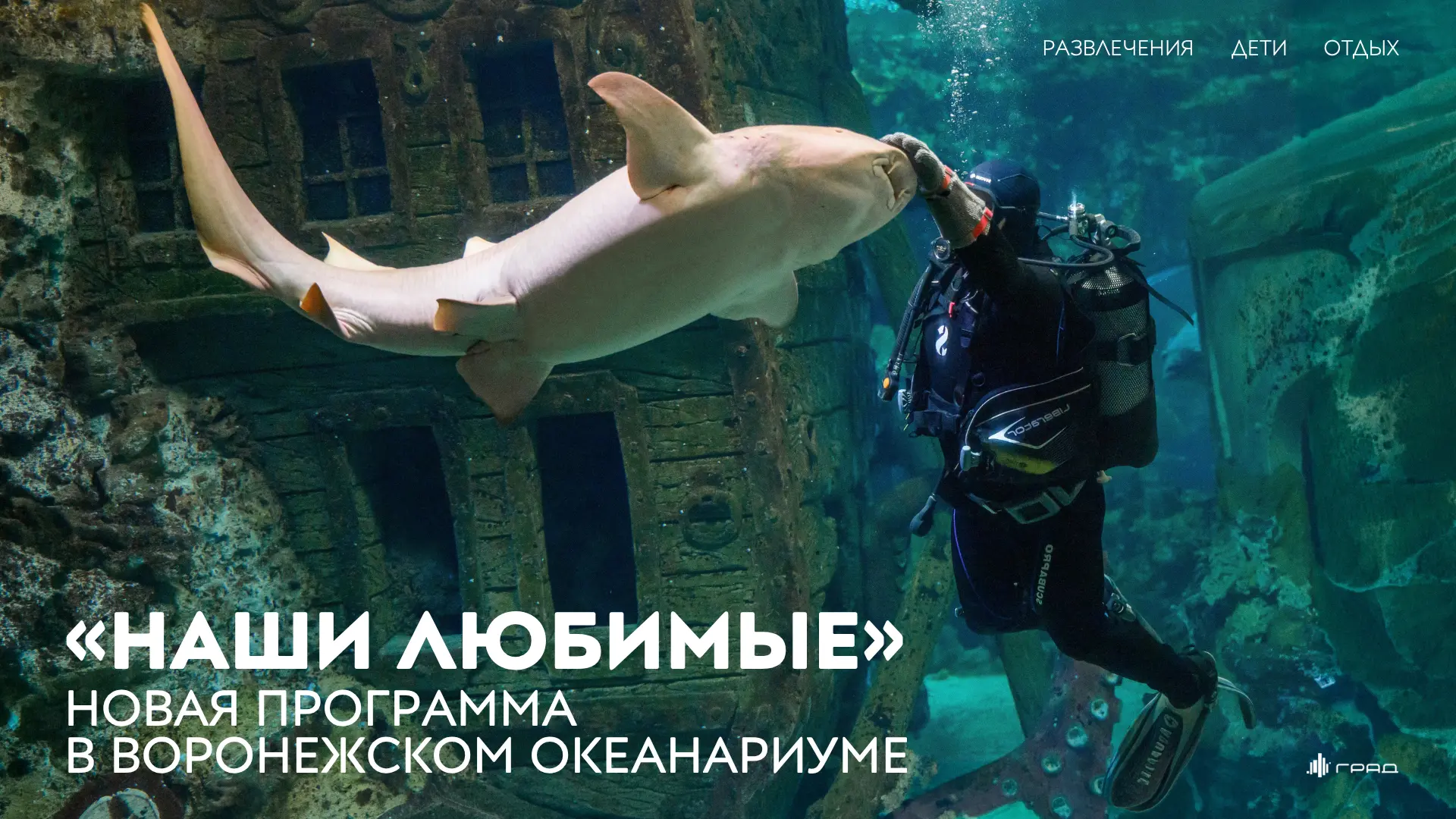 🎂 Как вы уже знаете, этой осенью Воронежский океанариум отмечает своё 15-летие! И приг...