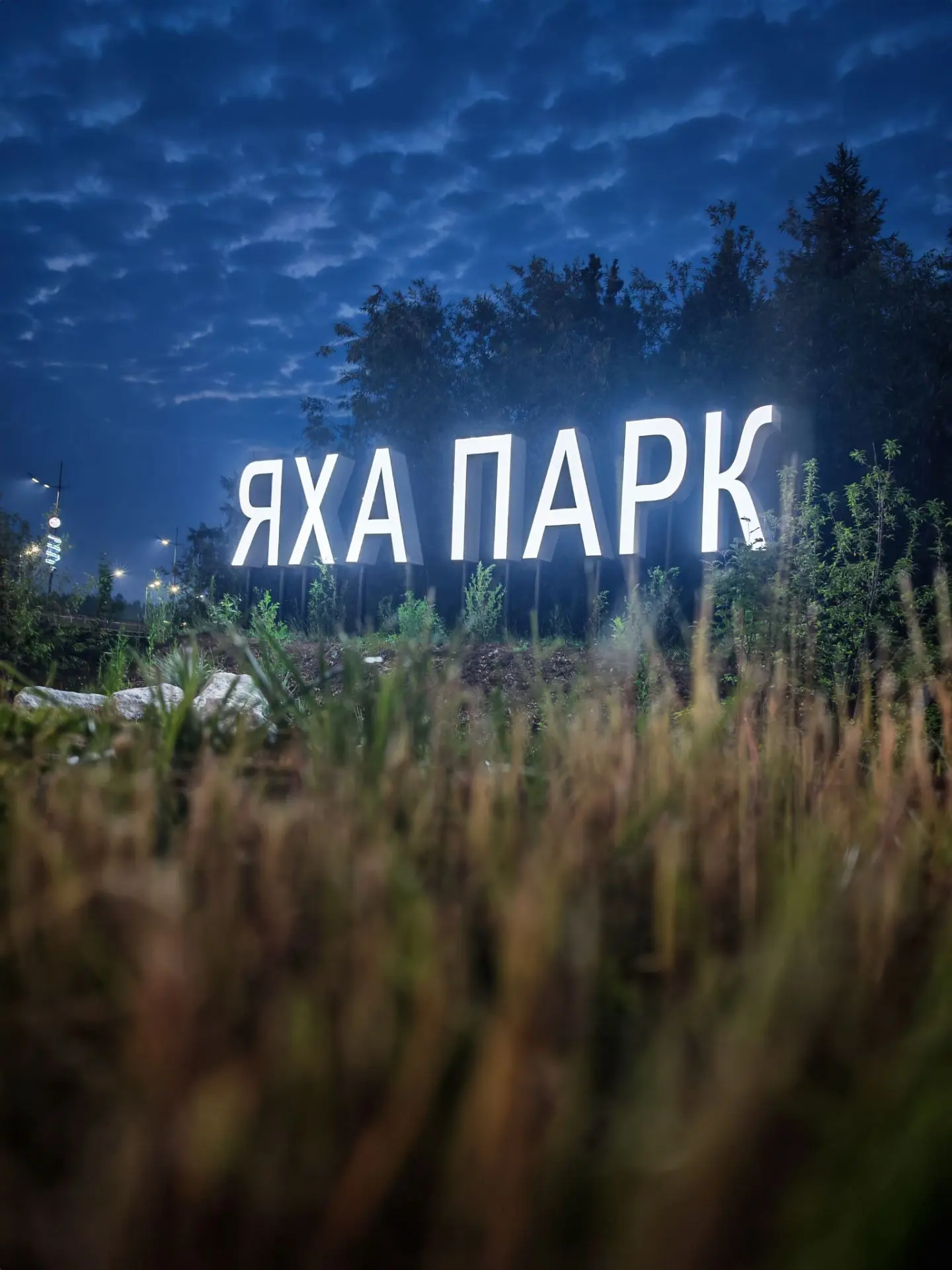 Немного фотографий с прогулки