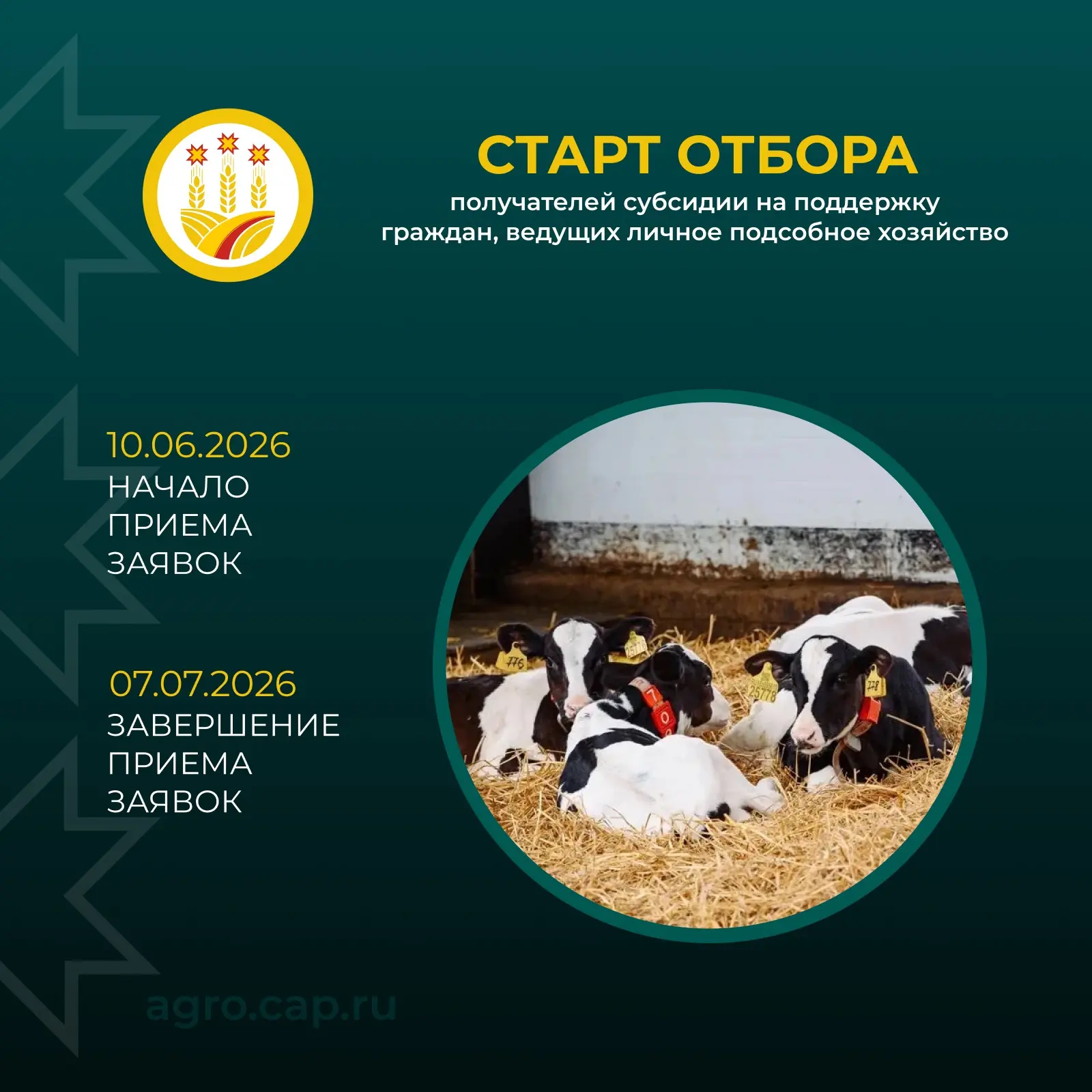 🌾 Субсидии для владельцев ЛПХ Чувашии: стартовал приём заявок!