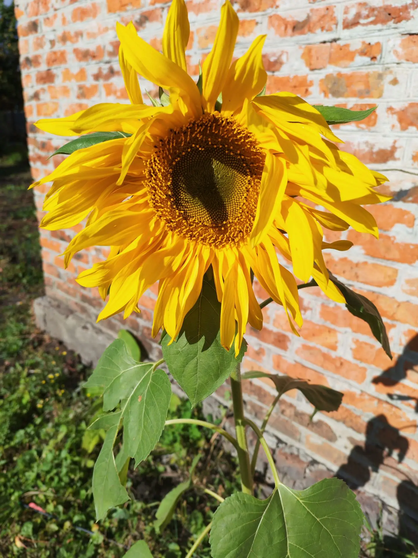 Красоты вам в ленту 💗