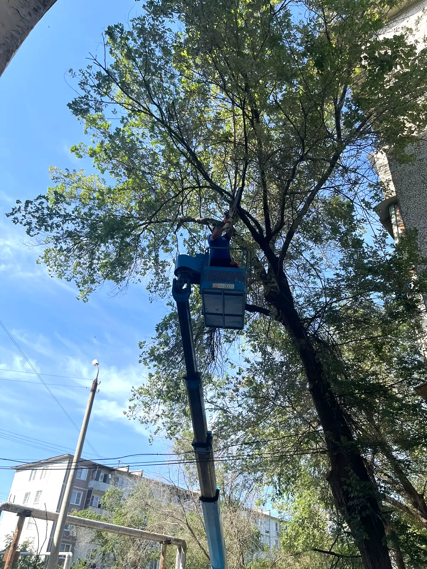 К новости «🌿 Забота о комфорте придомовой территории!»