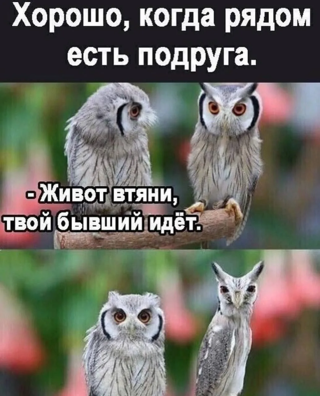 Женский Клуб