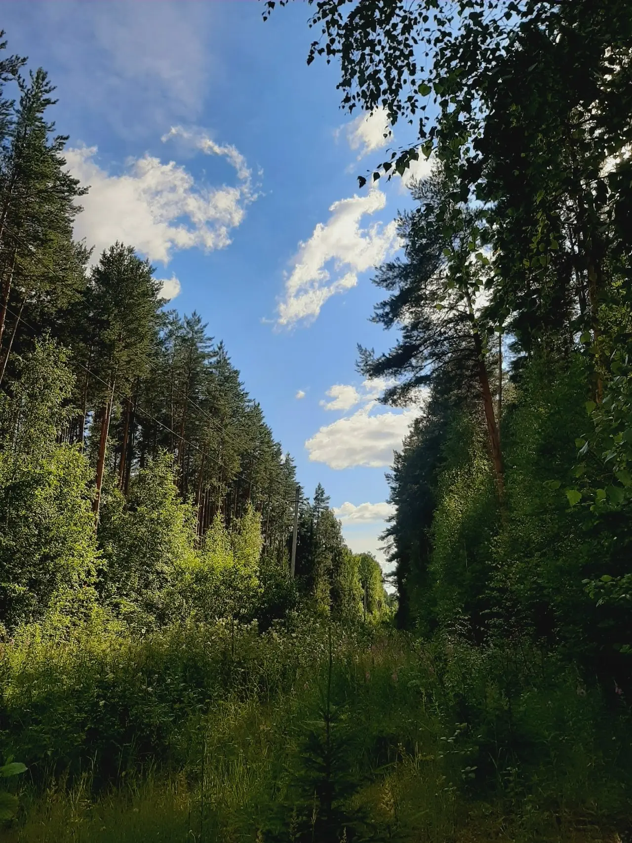 Πpoщай, июль...