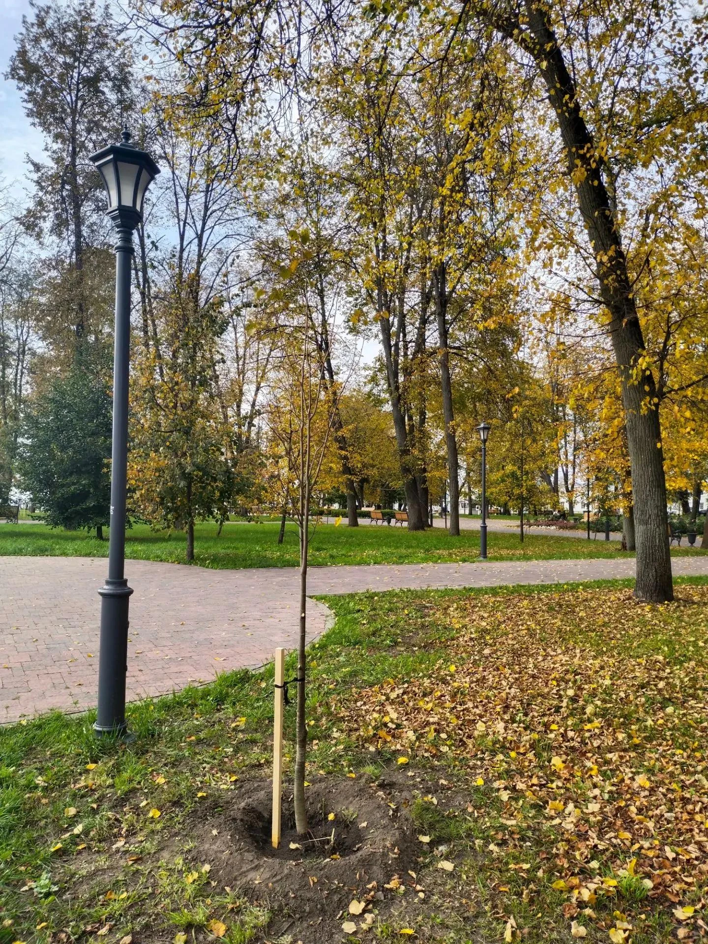 Друзья, в рамках благоустройства парковых территорий мы не только следим за чистотой, н...
