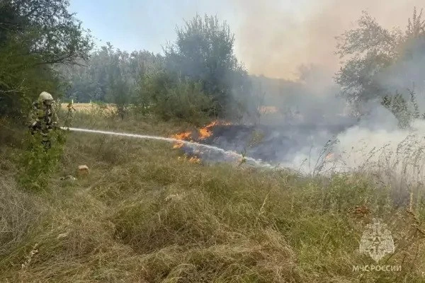 🔥 Крупный лесной пожар в Цимлянском районе тушили трое суток