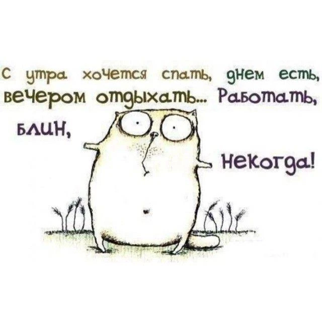 ⭐Лето — не только про отдых, но и про первые деньги!
🤝Друзья, пока у вас есть свободные дни и тёплы