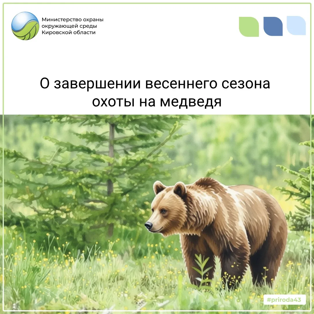 10 июня завершается охота на медведя в весенний период.

Министерство напоминает охотникам о необход