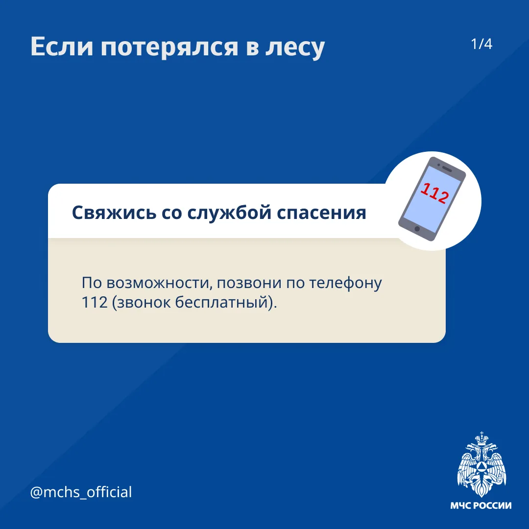 🌲 Уважаемые жители Орловского муниципального округа! Лето — прекрасная пора для прогулок на природе