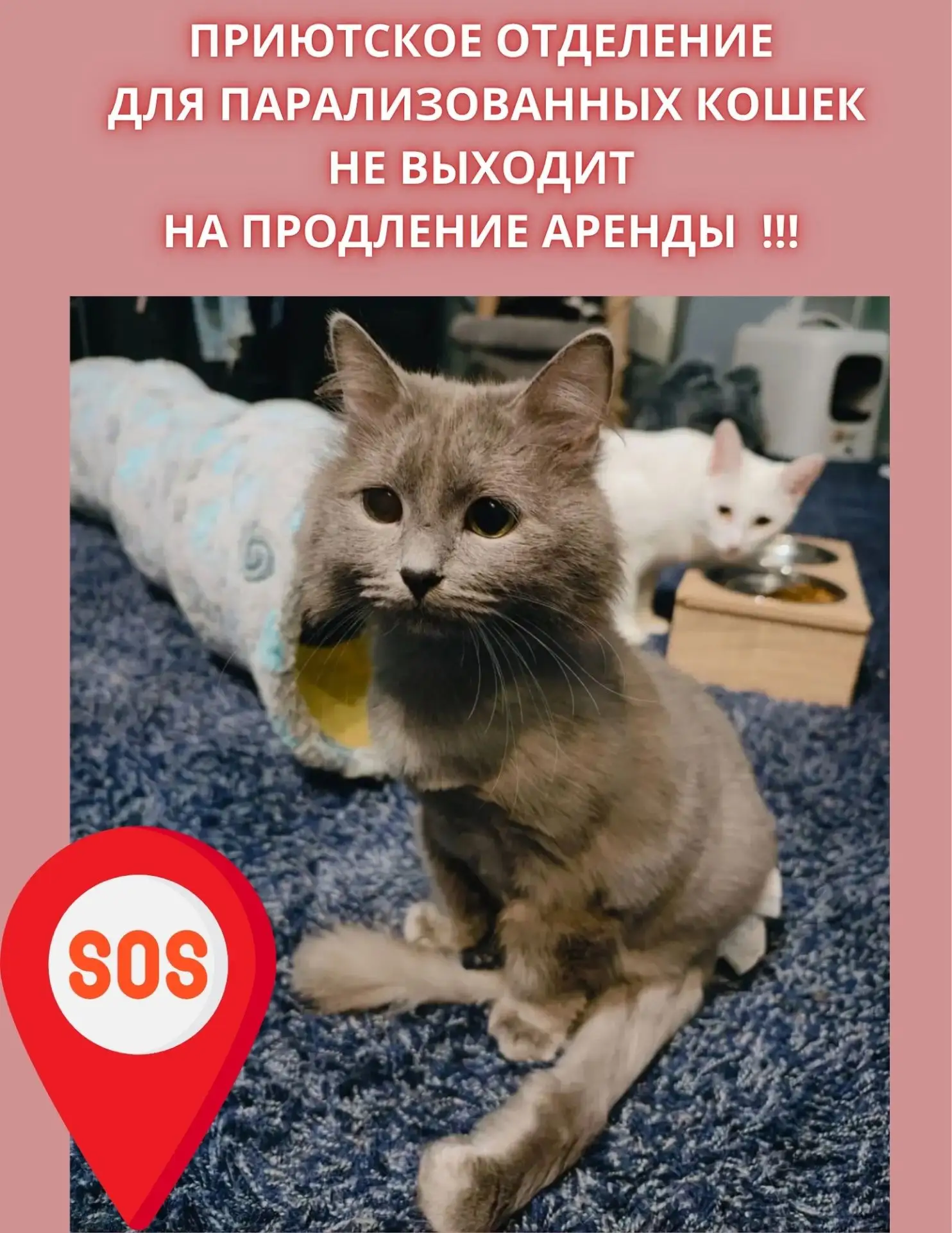 UPD: https://vk.ru/wall-78257920_152514