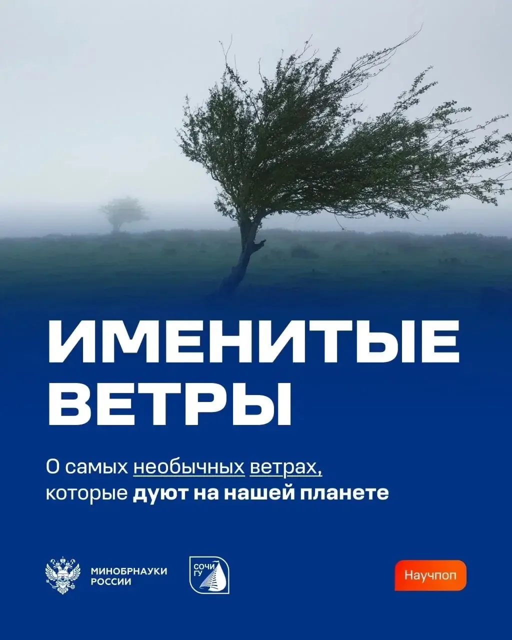 📖 Рассказывают ученые СочиГУ