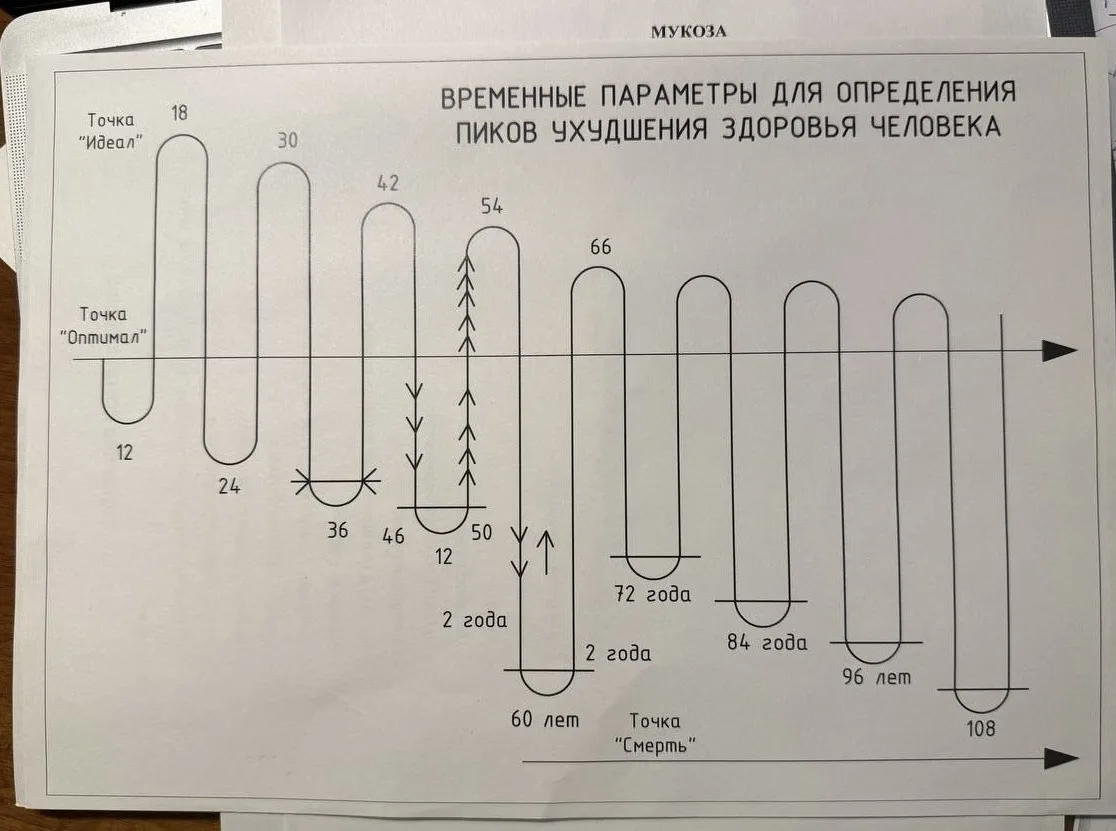 Мы не просто "чувствуем себя хуже с возрастом", у этого есть объяснение и прямая связь ...