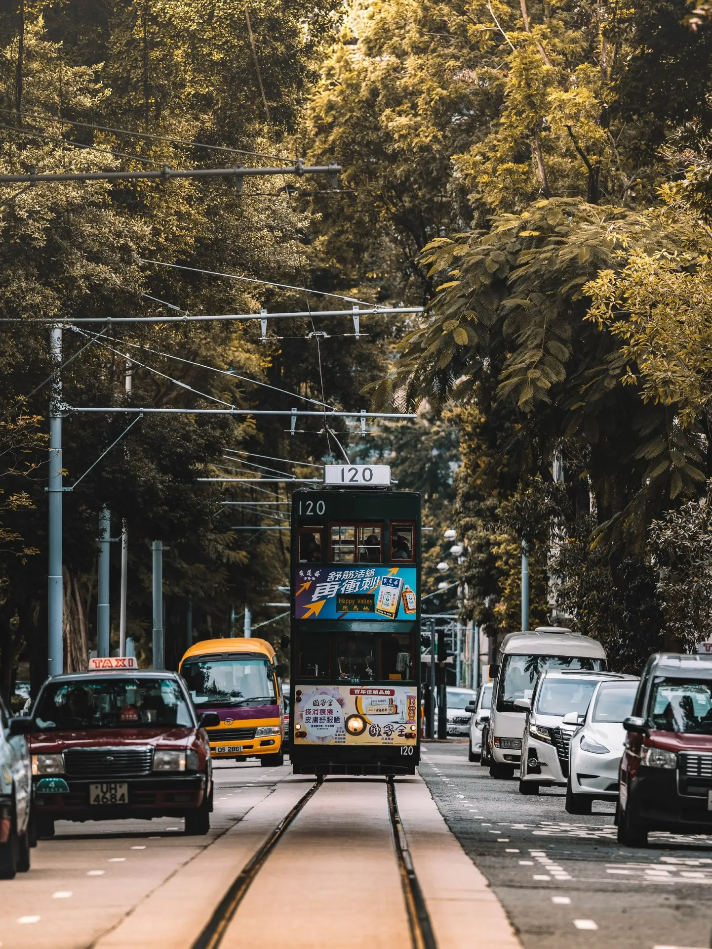 Изображение 1 к публикации «Викторианский штиль»