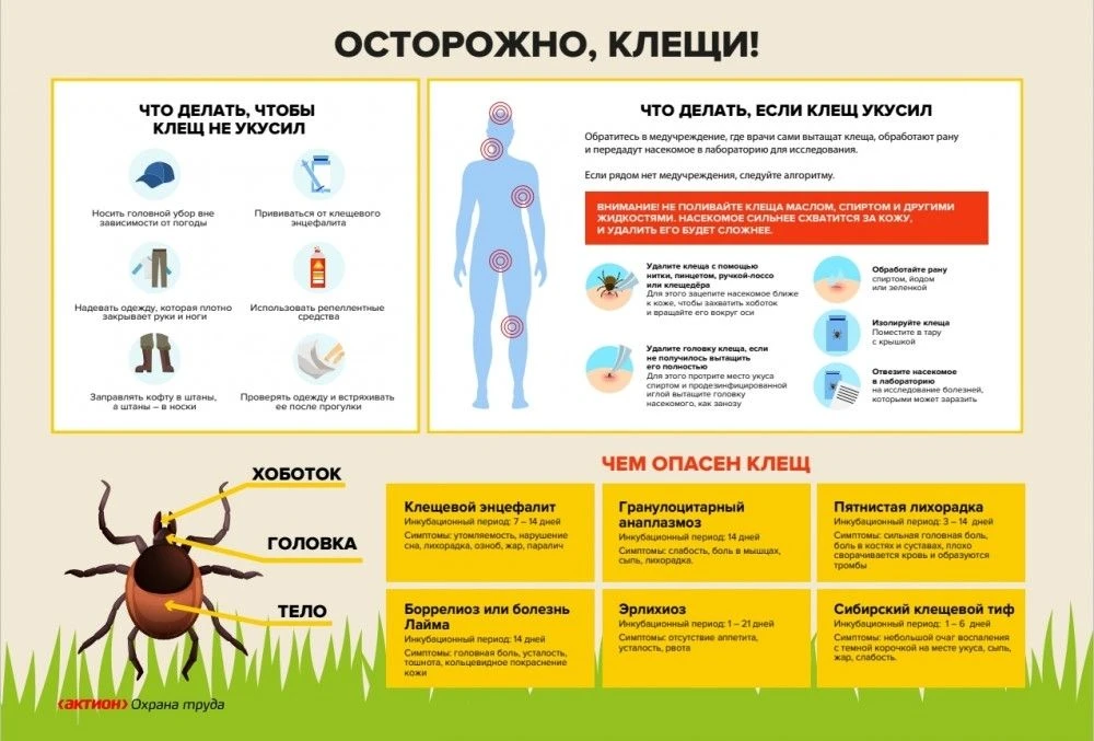 ! ВНИМАНИЕ ! КЛЕЩЕВОЙ ЭНЦЕФАЛИТ!
Клещевой вирусный энцефалит является природно-очаговой острой вирус