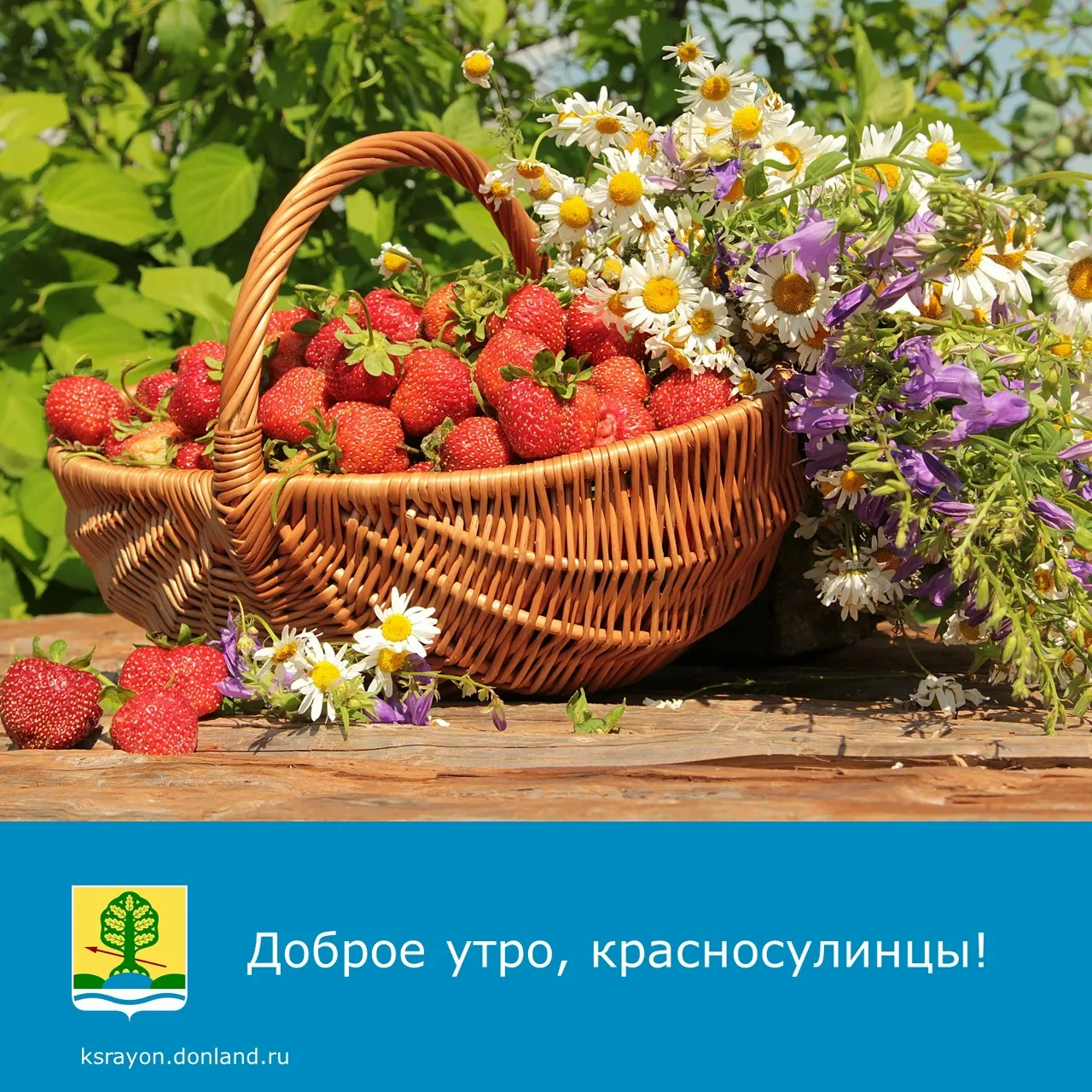 Доброе утро! На календаре 8 июня.