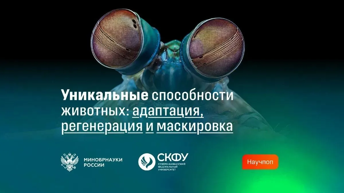 🔍 Уникальные способности животных: регенерация, маскировка и сверхчувства