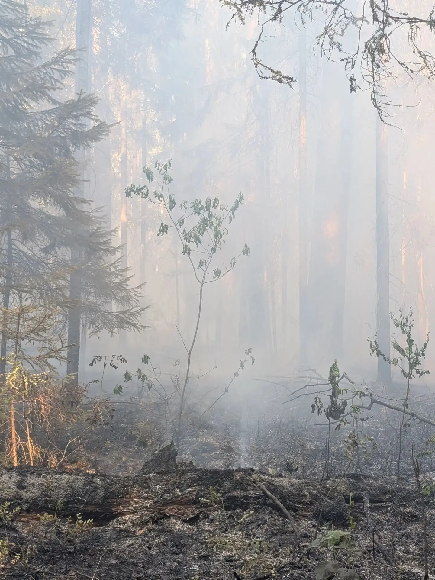 🔥Лесной пожар в "Заповедной Мордовии" локализован накануне вечером на площади 10,4 га

Как сообщили