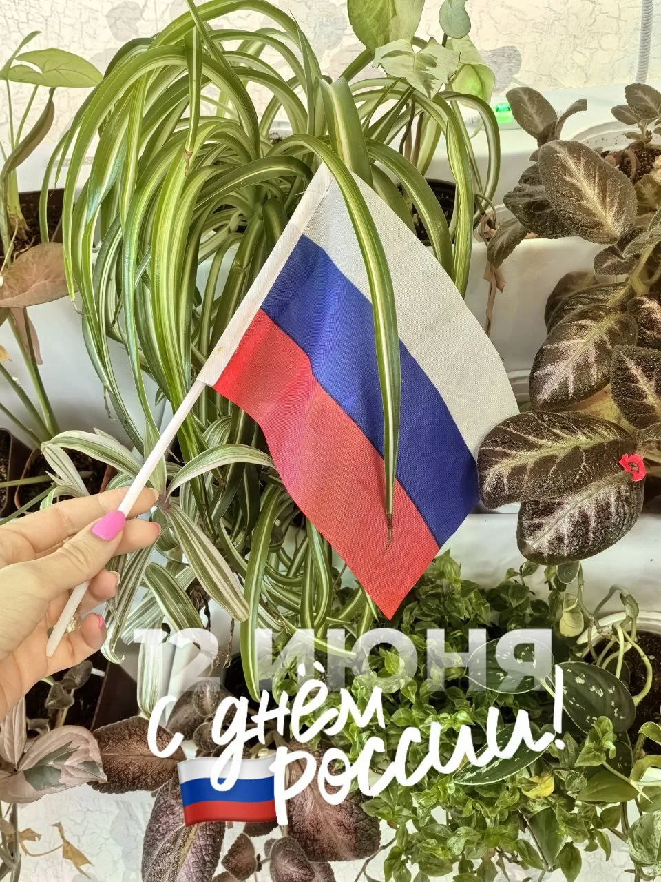С днем России, друзья! 🇷🇺

До чего же необъятная у нас страна! Пусть радость и счастье живут в каж