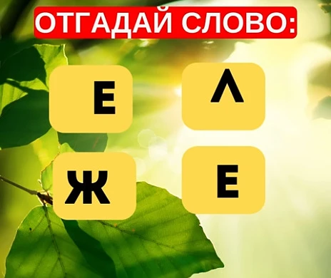 Смогли разгадать головоломку?