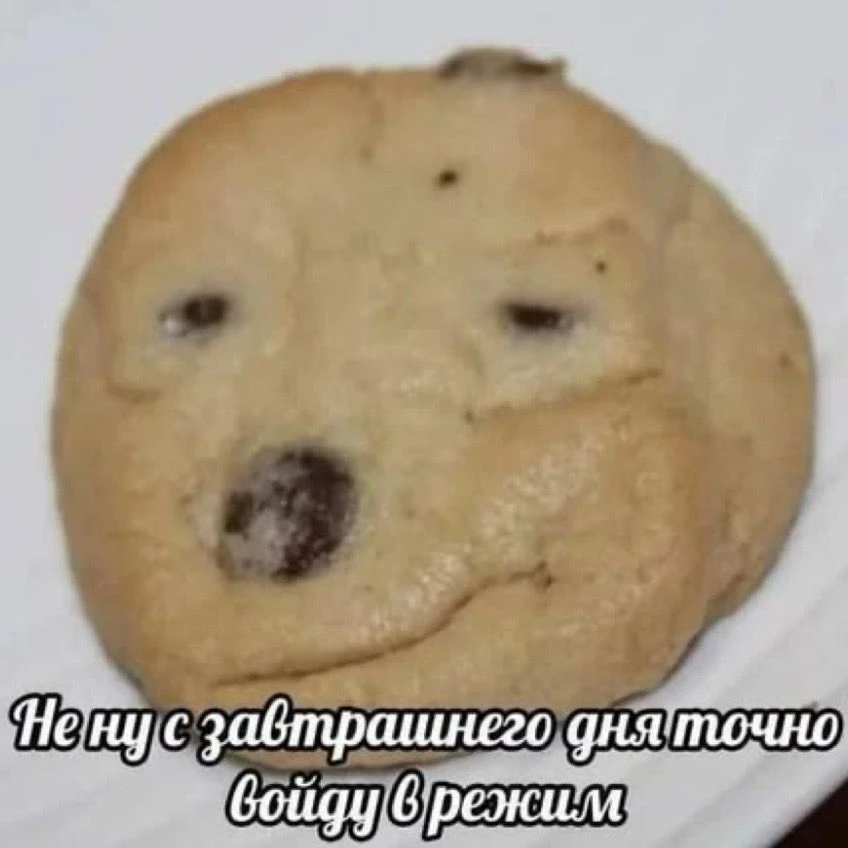 😁 Ну что, друзья, входите в режим?