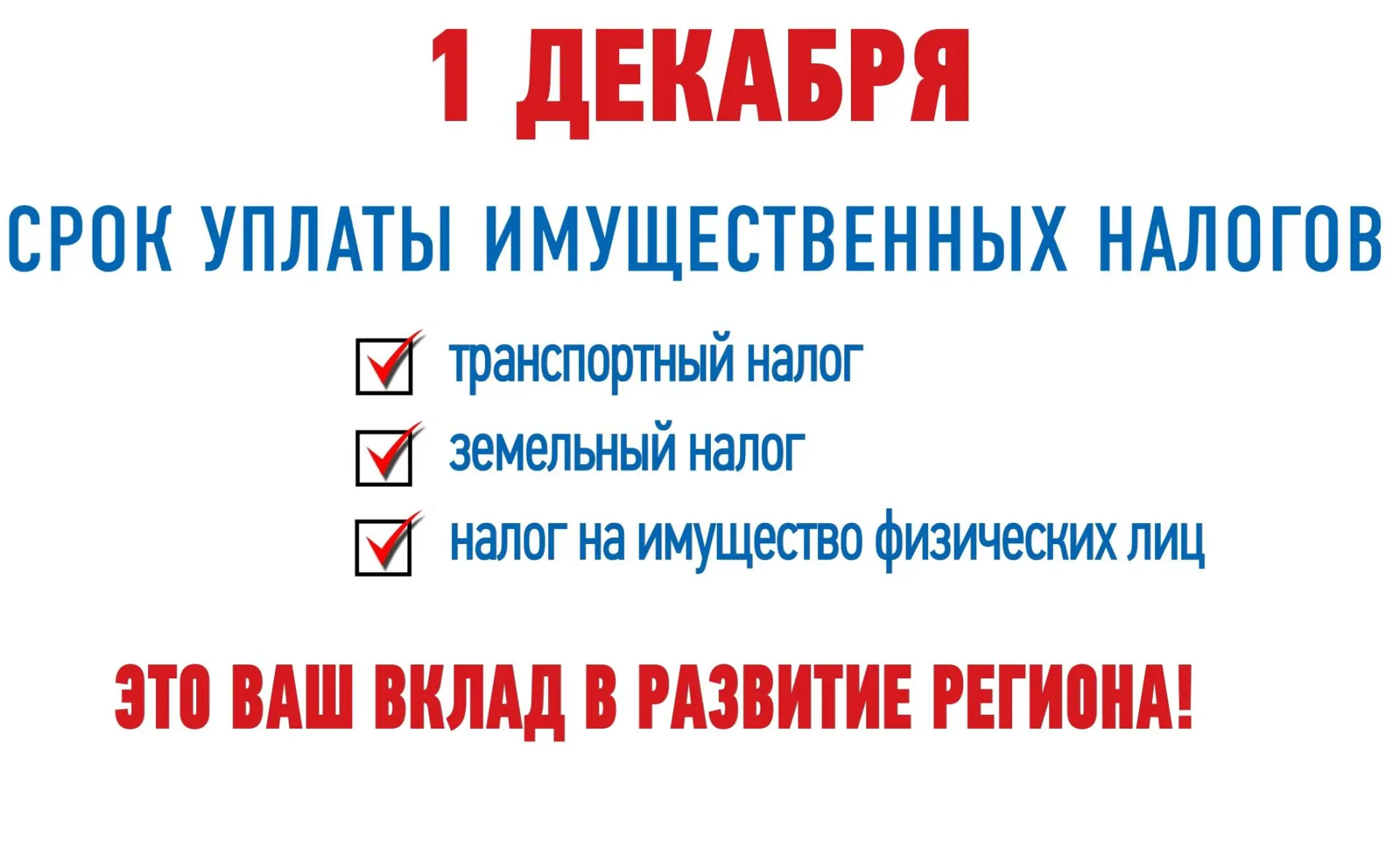 Налоговая грамотность населения является важнейшей частью правовой культуры государства.