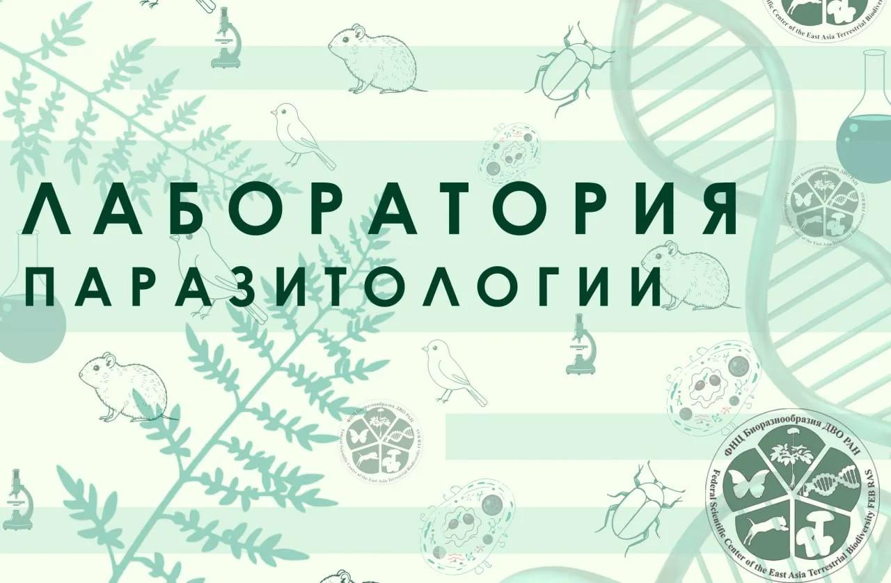 Группа ученых ФНЦ Биоразнообразия ДВО РАН и Вьетнамской академии наук завершила исследо...