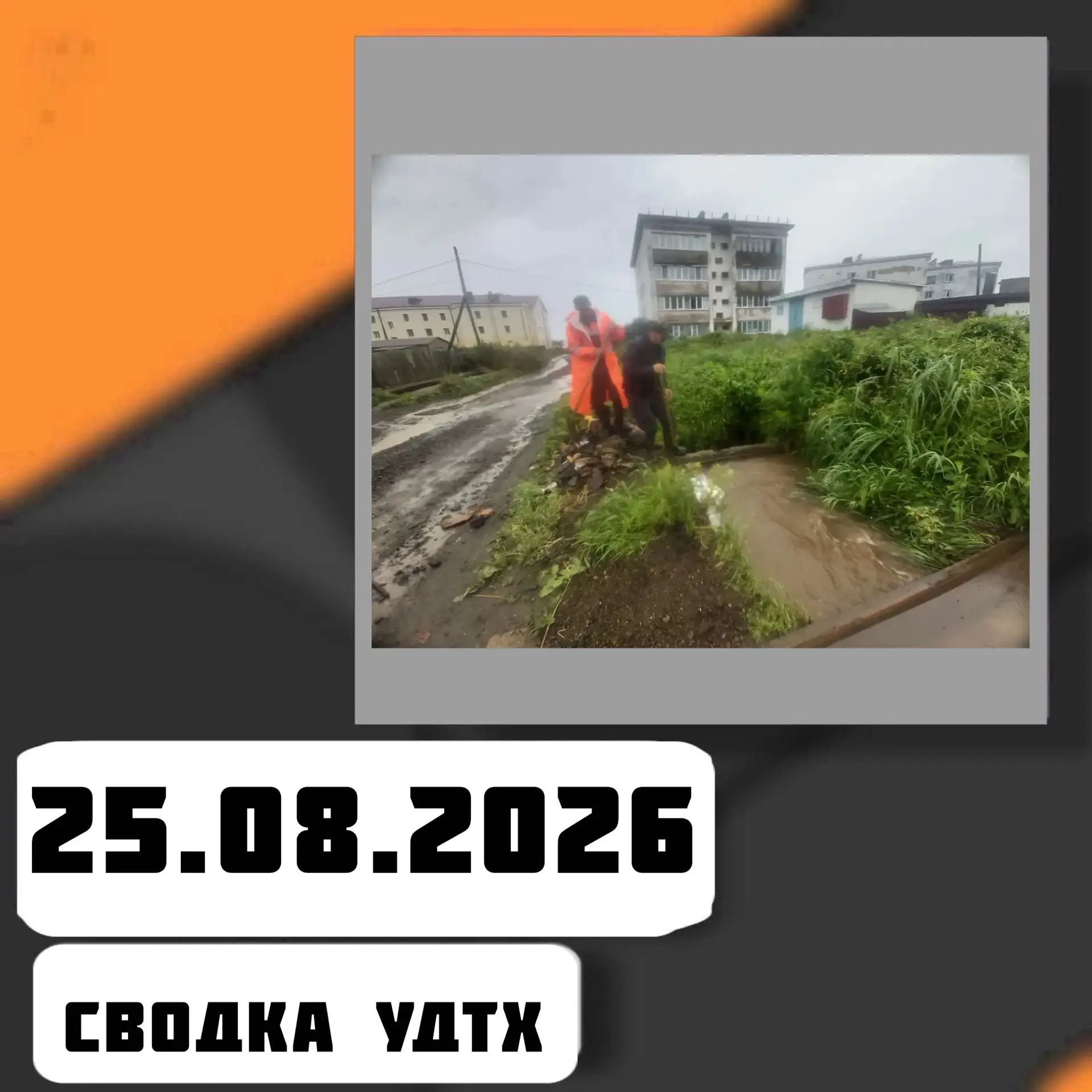 ➡️Сводка УДТХ на 25.08.2026