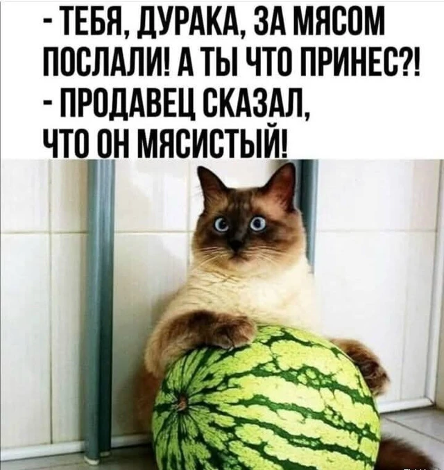 👀MAX С Юмором‼️