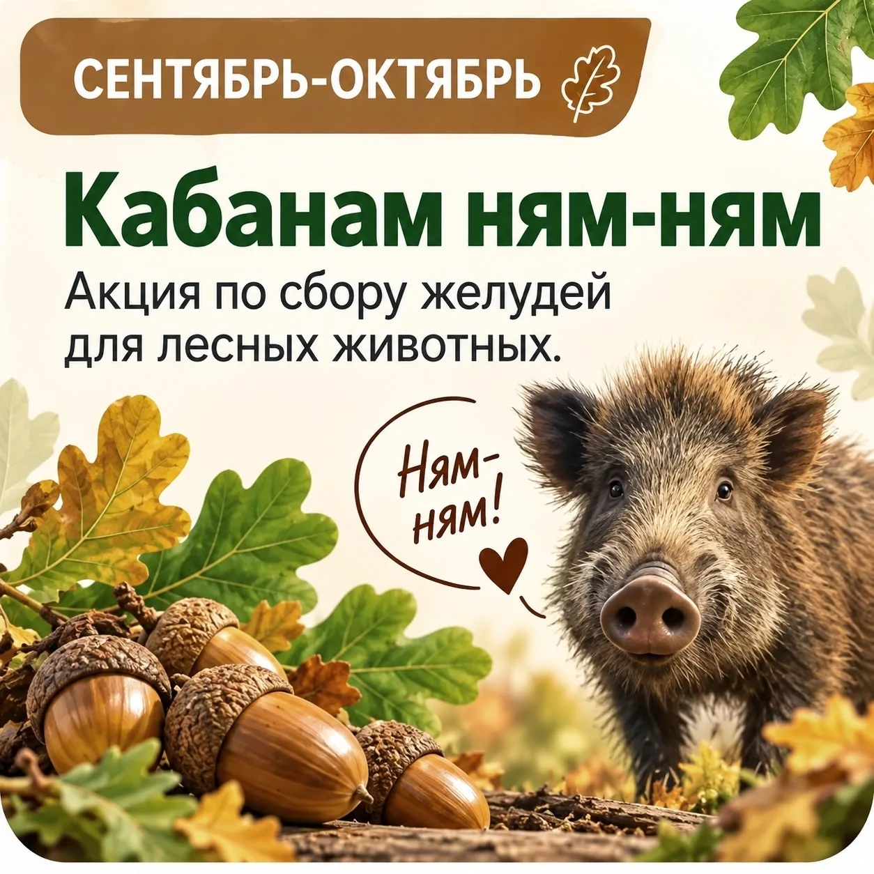 🌰 Осенняя акция: собираем жёлуди!