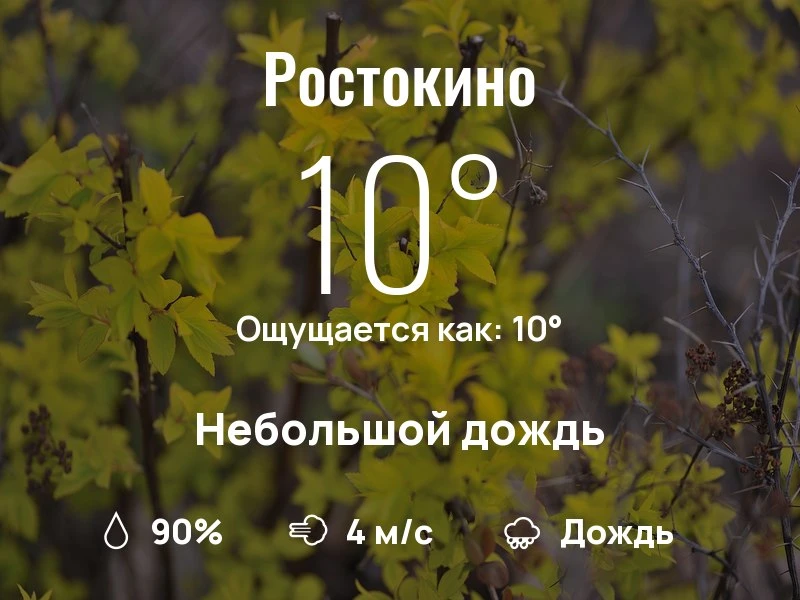 Что с погодой в Ростокино?