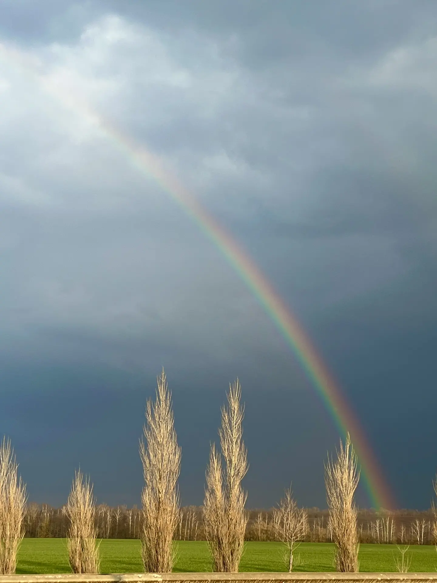 Какая красота встретилась по дороге 💙🌿🌧️